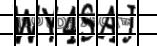 Retype the CAPTCHA code from the image